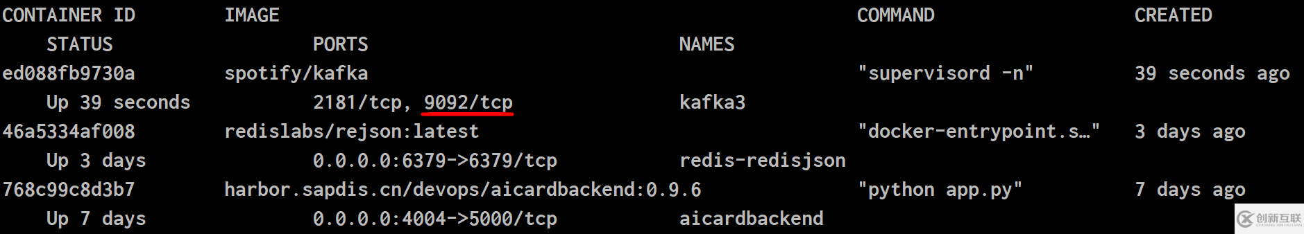 如何解析SAP Data Intelligence Modeler里的Kafka Producer和Kafka Consumer