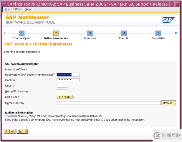 使用SWPM安裝 SAP ERP6.0 on solaris 10