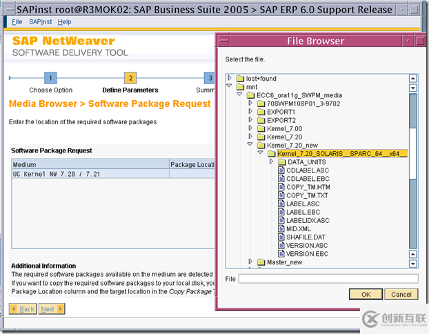 使用SWPM安裝 SAP ERP6.0 on solaris 10