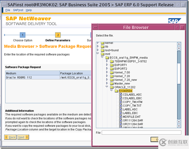 使用SWPM安裝 SAP ERP6.0 on solaris 10