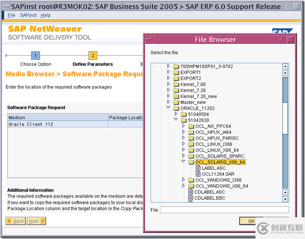 使用SWPM安裝 SAP ERP6.0 on solaris 10