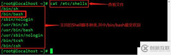 Shell腳本規(guī)范與變量