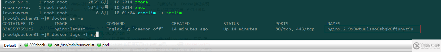 docker測試時命令無法補全如何解決