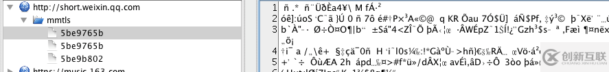 iOS開(kāi)發(fā)安全的方法是什么