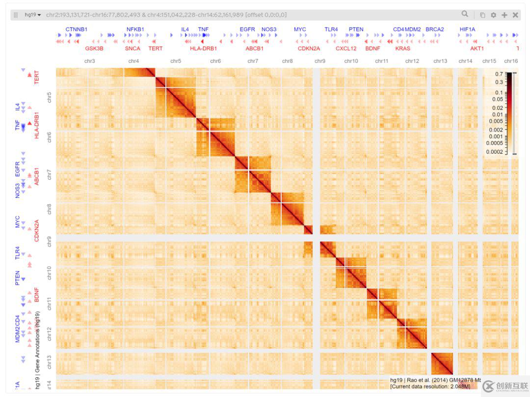 高度定制的Hi-C數(shù)據(jù)可視化應(yīng)用HiGlass是怎樣的呢