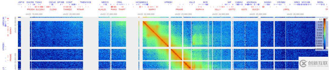高度定制的Hi-C數(shù)據(jù)可視化應(yīng)用HiGlass是怎樣的呢