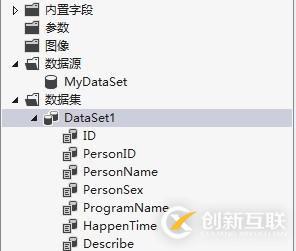 自定義數(shù)據(jù)的RDLC報(bào)表開發(fā)入門（一）