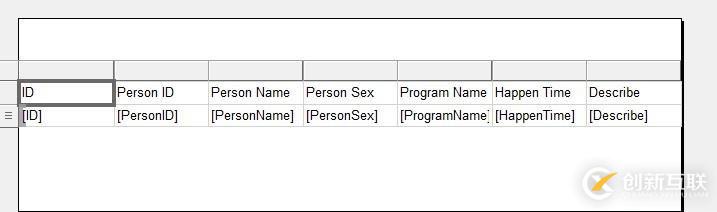 自定義數(shù)據(jù)的RDLC報(bào)表開發(fā)入門（一）