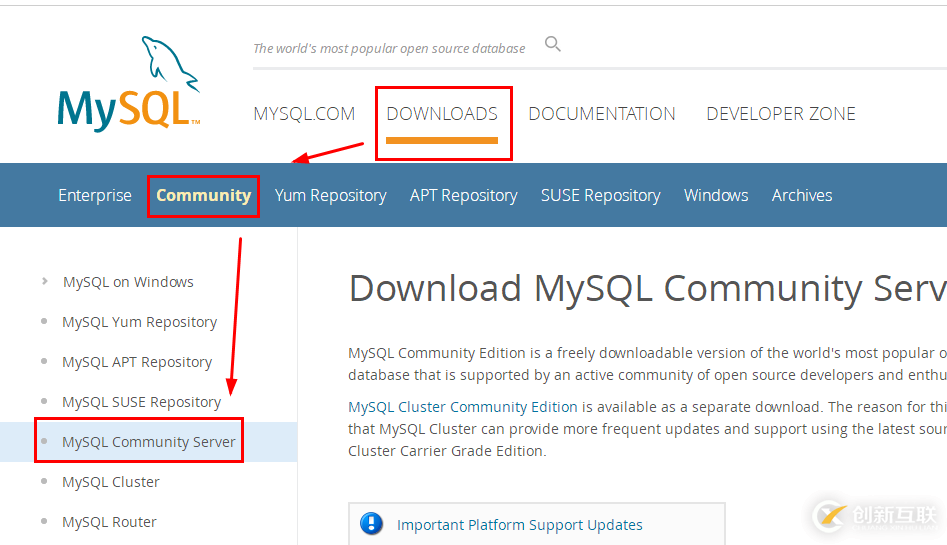 MySQL下載安裝的示例分析