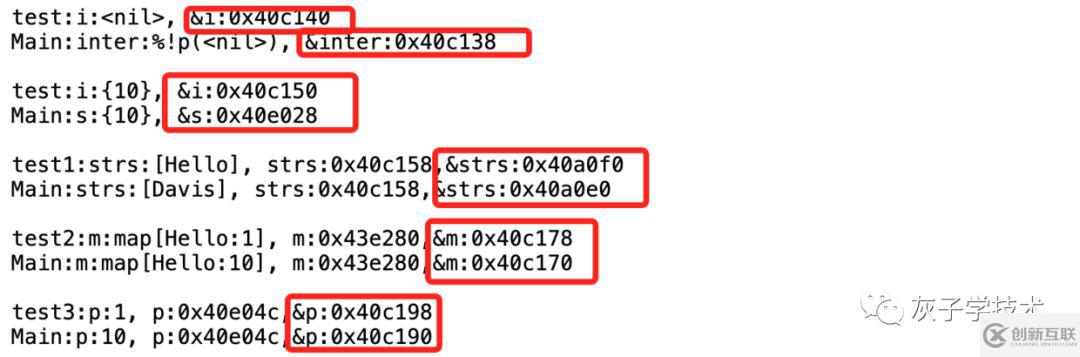 Go語言的指針有哪些常見問題