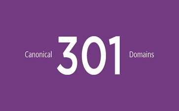 canonical、301、Domains