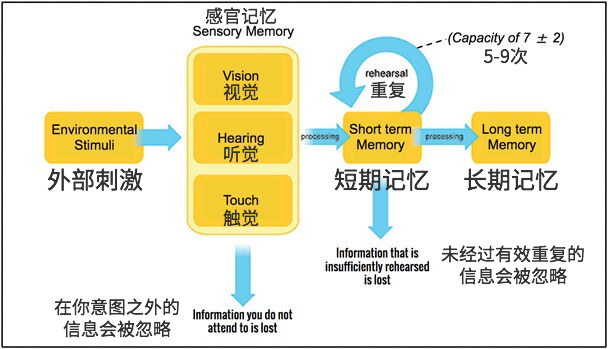 通過(guò)記憶心理學(xué)提升網(wǎng)站用戶體驗(yàn)a