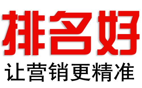 企業(yè)網站推廣