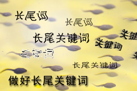 做網(wǎng)站怎樣做好長尾關(guān)鍵詞設(shè)置？