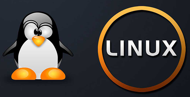 linux怎么ping，LinuxPing的步驟講解