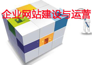 企業(yè)網(wǎng)站建設(shè)與運營