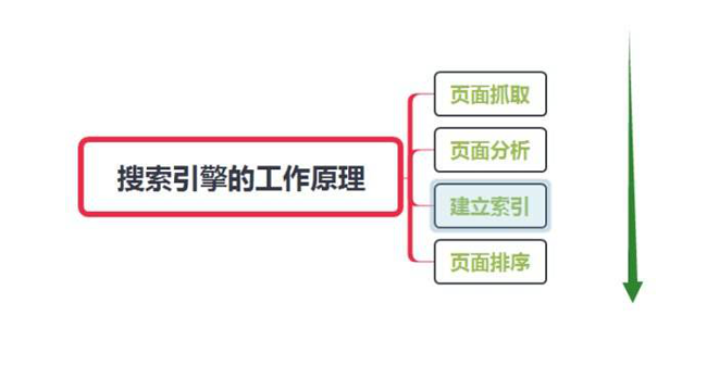 網(wǎng)站怎么讓蜘蛛快速抓取？