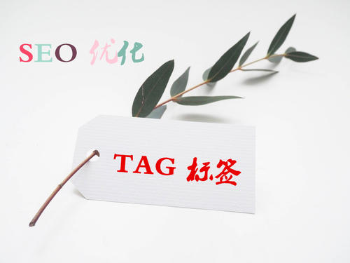 TAG標簽的使用對于SEO優(yōu)化的重要性是什么？